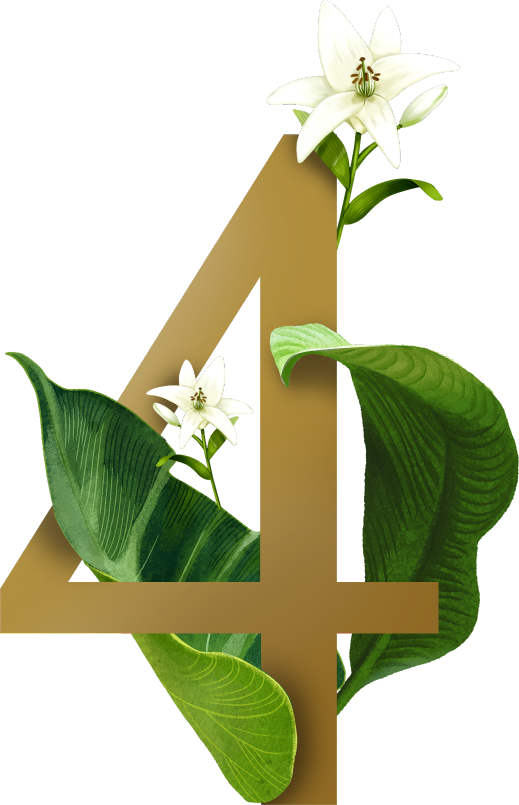 4